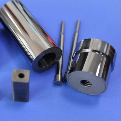 Custom Carbide Mold Punch Head and Tungsten Carbide Lower Die Insert