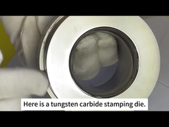 ঝুঝু সানক্সিন সিমেন্টেড কার্বাইড - ছাঁচ